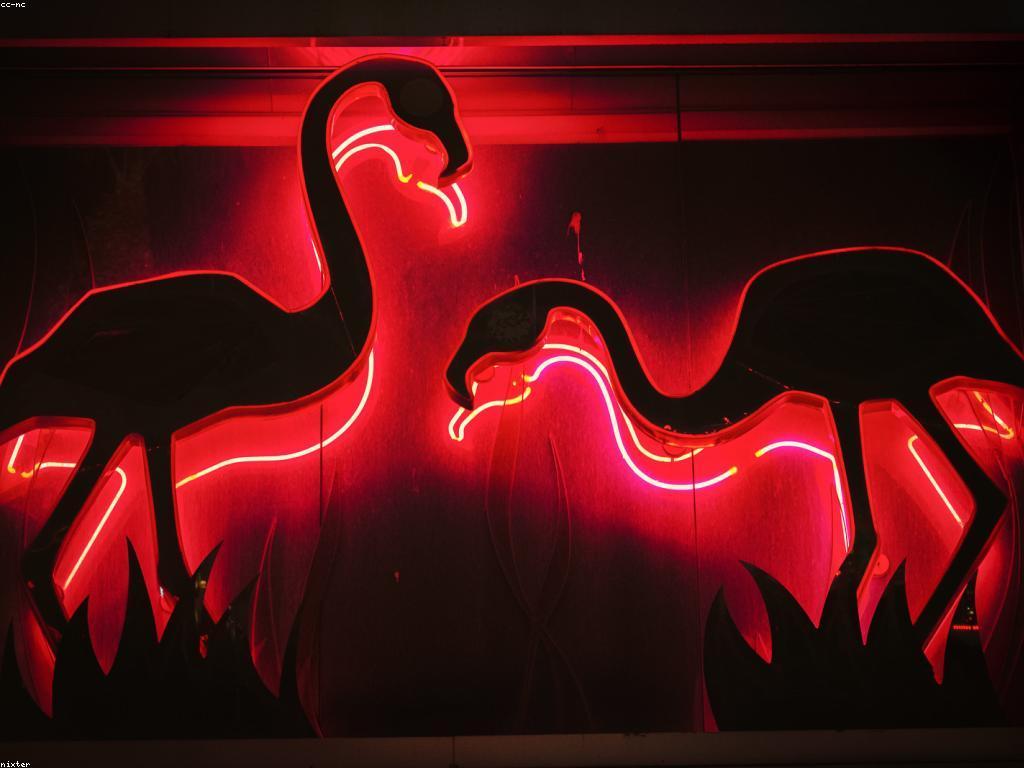 អនាគតនៃវិស័យកាស៊ីណូ