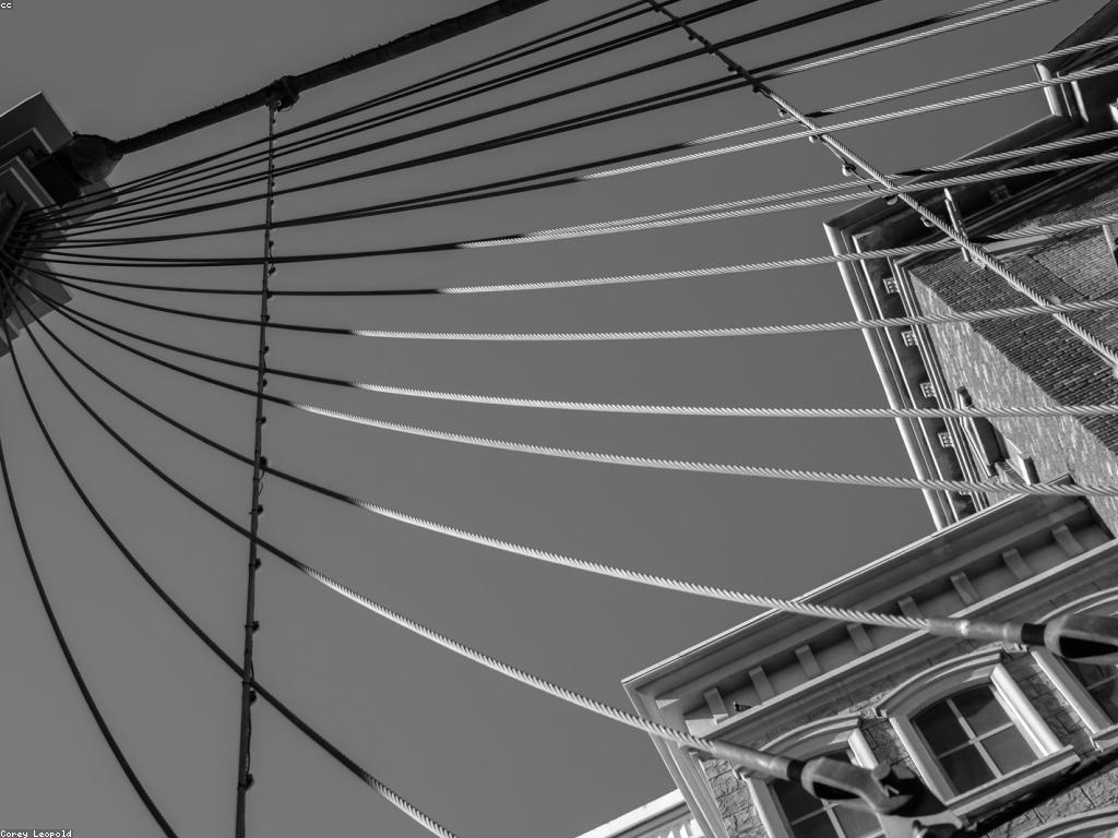 និន្នាការថ្មីក្នុងកាស៊ីណូ